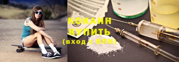 соль ск Горно-Алтайск