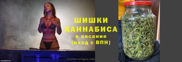 соль ск Горно-Алтайск