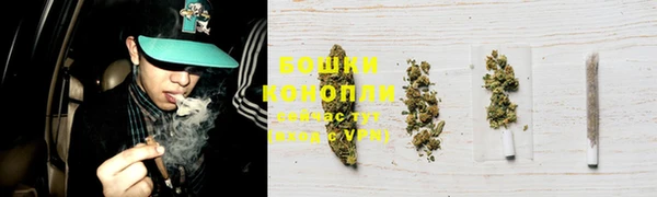 стафф Гусь-Хрустальный