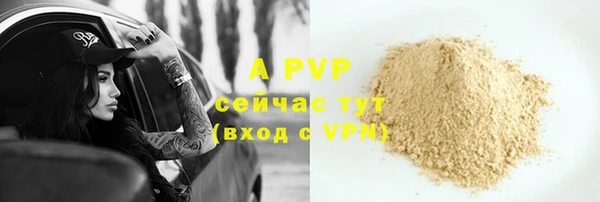 соль ск Горно-Алтайск