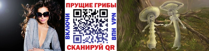 Псилоцибиновые грибы Psilocybe  цены   Междуреченск 