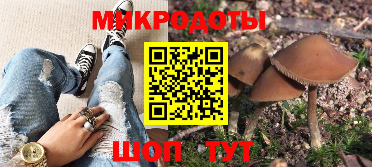 Галлюциногенные грибы Psilocybe  Междуреченск 