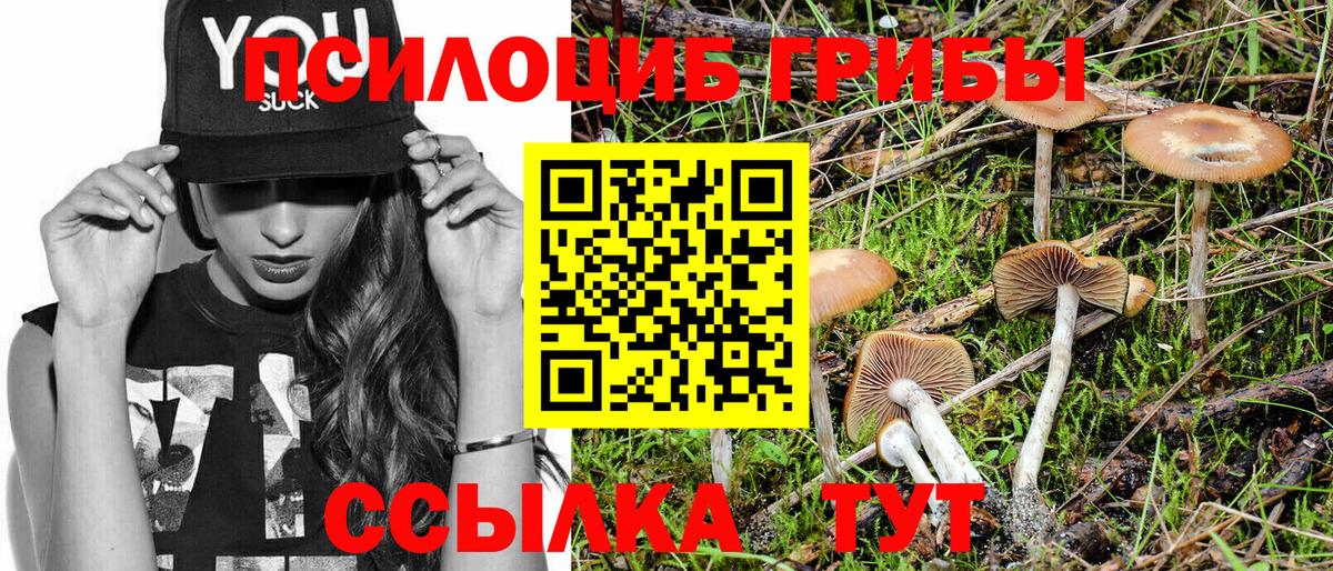 Галлюциногенные грибы ЛСД Междуреченск